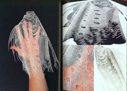 The Papercut Art Of Masayo Fukuda