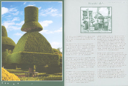 Pleasant Place 6: Topiary