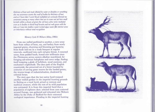 Making Kin – Animal Series