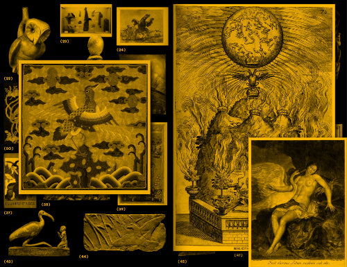 with a Bird, A Reader on Avian Kinship