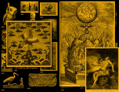 with a Bird, A Reader on Avian Kinship